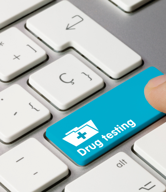 DOT Drug Testing main